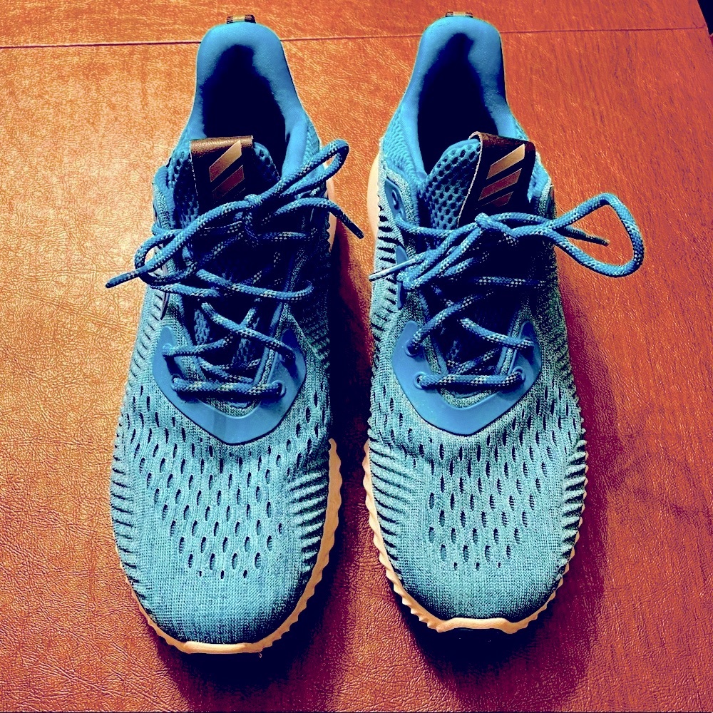 Adidas AlphaBounce running shoe, Men’s 7.5, Blue